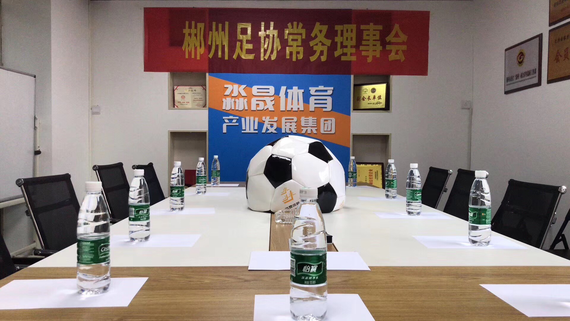 2018年郴江电力足球队成立了